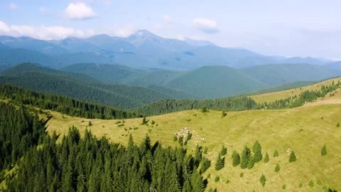 Sheep on Mount Kostrich Stock Footage 171531687
