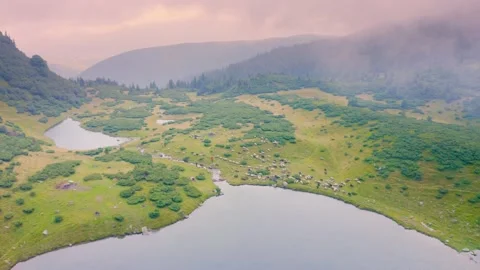 Sheep near a winding stream Stock Footage 170768622