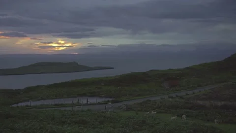 Sheep passing by a gate and roaming freely in countryside in twilight Stock Footage 139874448