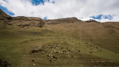 Sheep pasture caucasian mountains. clouds moving Timelapse hyperlapse Stock Footage 137884524