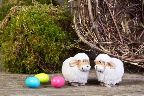 Sheep Stock Photos