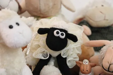 Sheep puppets Stock Photos