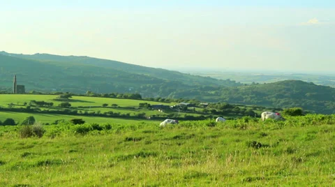 Sheep ramming 스톡 동영상 39890294