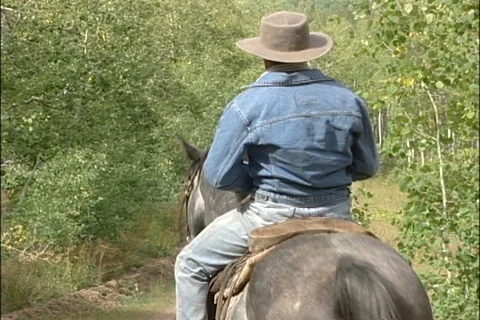 Sheep Ranching Stock Footage 121430672