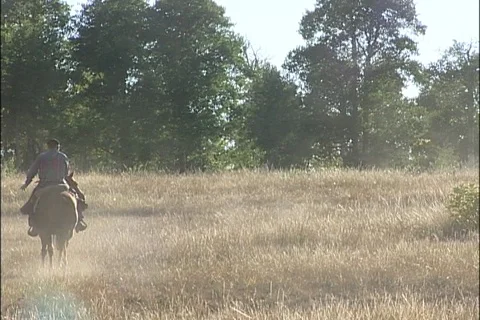 Sheep Ranching Stock Footage 121433573