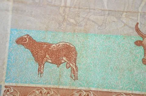 Sheep from the reverse side of 50 SDG fifty Sudanese pound cash money bill .. Stock Photos