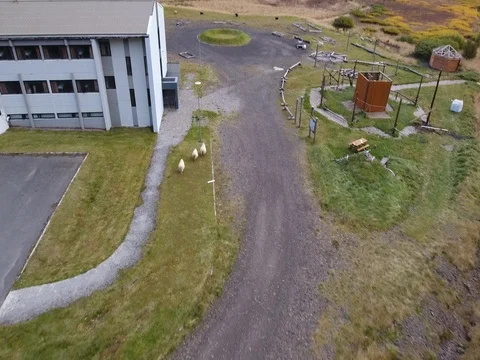 Sheep running in Iceland Video stock 69888284