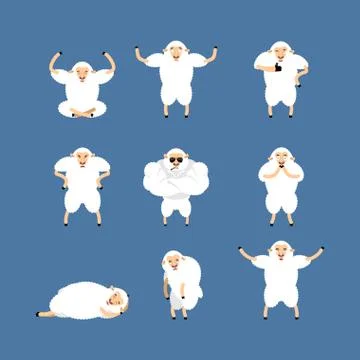 Sheep set poses and motion. Farm animal happy and yoga. Ewe sleeping and angr Stock Illustration