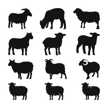 Sheep silhouette icon vector. Sheep and Goat Silhouettes Collection, Stock Illustration