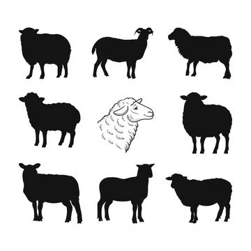 Sheep silhouette icon vector. Sheep and Goat Silhouettes Collection Stock Illustration