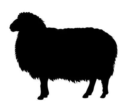 Sheep silhouette Stock Illustration