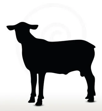 Sheep silhouette with looking pose Stock Illustration