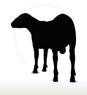 Sheep silhouette with looking pose Stock Illustration