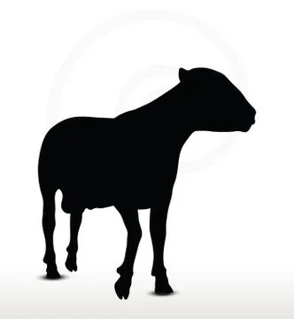 Sheep silhouette with walking pose Illustrazione stock