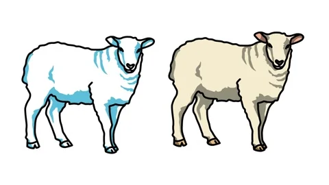 sheep Sketch and 2d animation, animal | Stock Video | Pond5