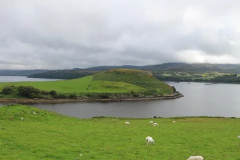 Sheep on Skye Island Stock Photos