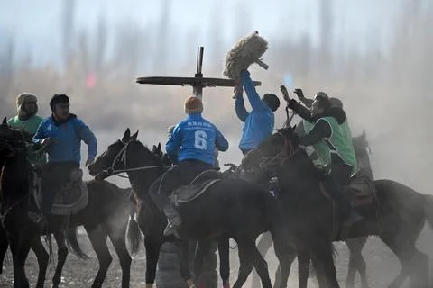 Sheep Snatching Competition Stock Photos