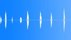 SHEEPSound Effect