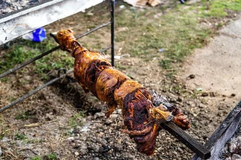 Sheep on a spit Stock Photos
