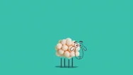Sheep Standing And Blinking Stock Footage