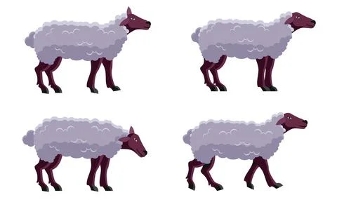 Sheep standing in different pose isolated Stock Illustration