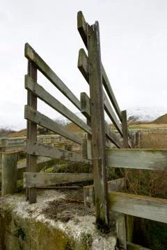 Sheep step Stock Photos