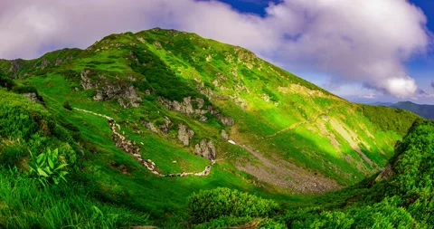 Sheep on the trail Video stock 170767213