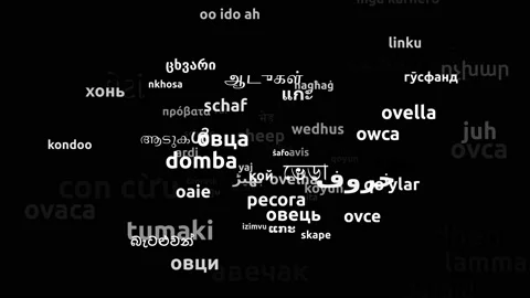 Sheep Translated in 73 Worldwide Languages Endless Looping 3d Zooming Wordclo Stock Footage 145206727