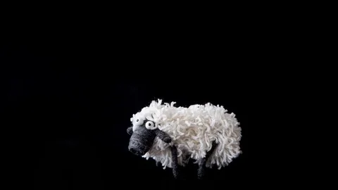 Sheep turns Stock Footage 74181736