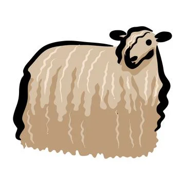 Sheep vector drawing Stock Illustration