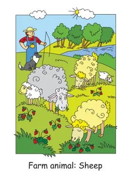 Sheep vector illustration Stock Illustration