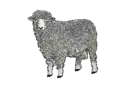 Sheep vector illustration Stock Illustration