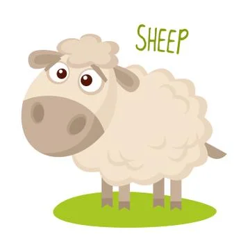 Sheep Vector illustration isolated Stock Illustration