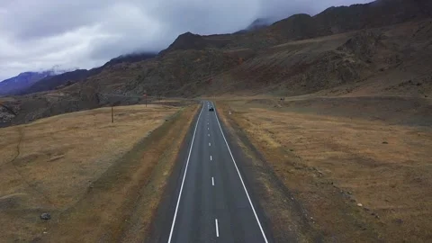 Sheep walk in mountain meadows Stock Footage 220034747