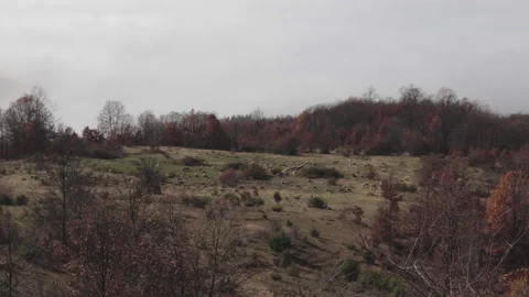 Sheep walking on a hill in front clouds Video stock 146921274