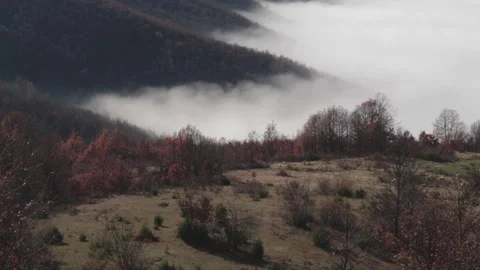 Sheep walking on a hill in front clouds Video stock 146922731