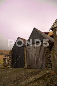 Sheep in the wilderness Stock Photos