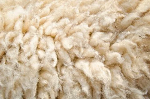 Sheep wool skin Fotos de archivo