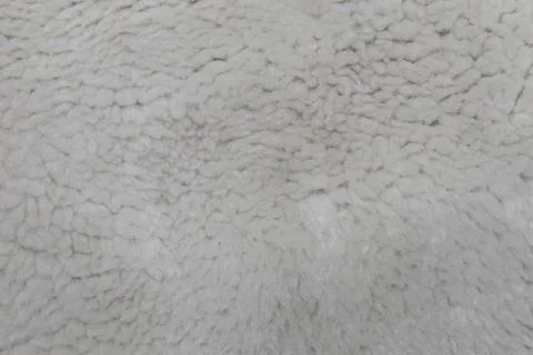 Sheep wool texture Stock Photos