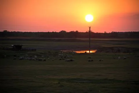 Sheepfold at sunset Foto stock