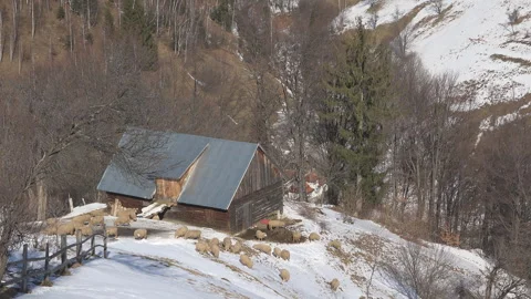 Sheepfold on top of snowed mountain Stock Footage 260376130