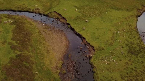 Sheeps along the river Stock Footage 77672129
