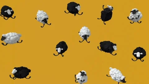 Sheeps Stock Footage 236245151