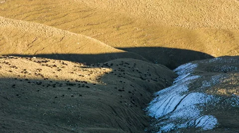 Sheep's graze on the Alpine slopes of high mountains of the Caucasus Video stock 68942311