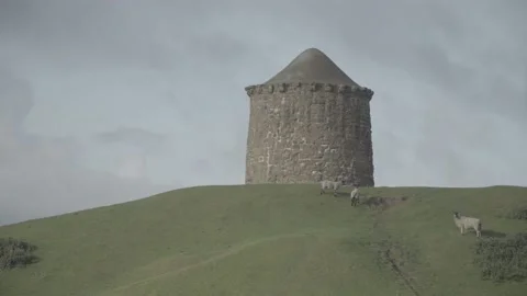 Sheeps on hills at the beacon Stock Footage 140364375