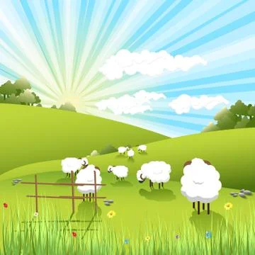 Sheeps Stock Illustration