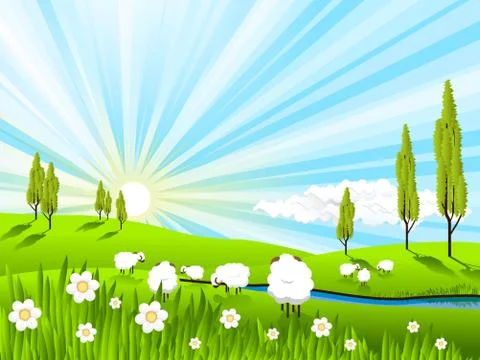 Sheeps Stock Illustration