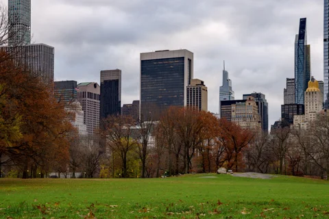 Sheeps Meadow Solow Stock Footage 144299414