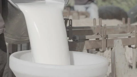 Sheep's Milk 動画素材 170491744