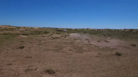 Sheeps running in herd on a beautiful Inner Mongolia plain Stock Footage 132238192